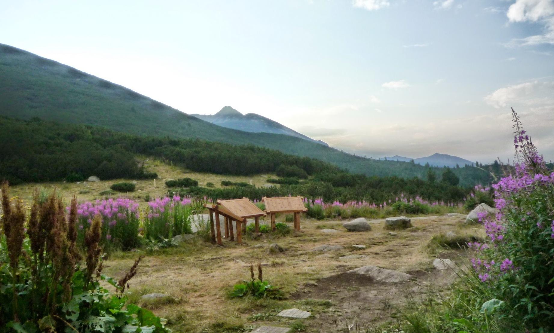 Ayuntamiento de Bansko